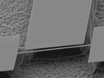 image hover